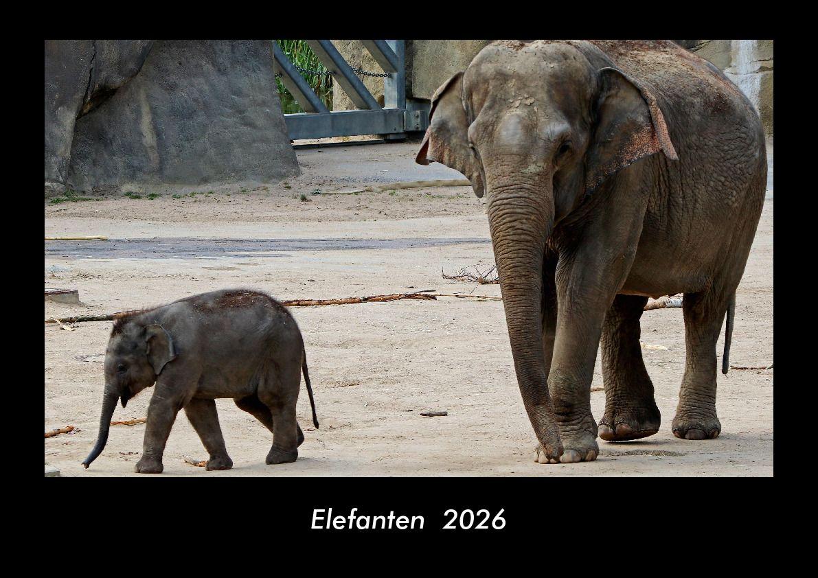 Elefanten 2026 Fotokalender DIN A3