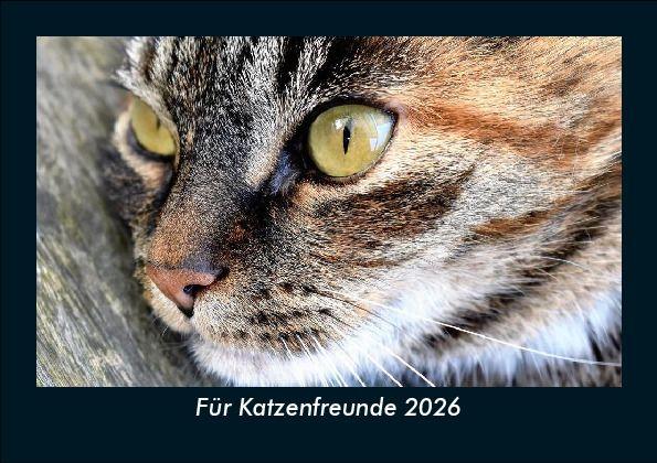 Für Katzenfreunde 2026 Fotokalender DIN A5