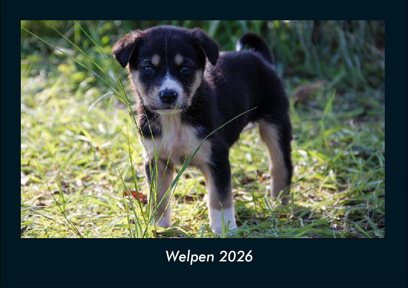 Welpen 2026 Fotokalender DIN A4