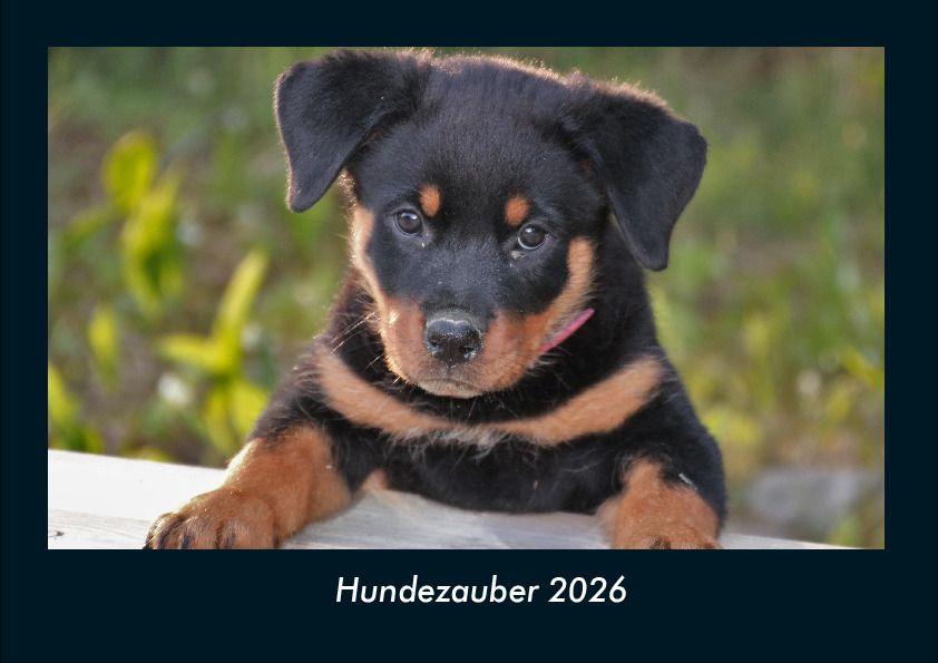 Hundezauber 2026 Fotokalender DIN A4