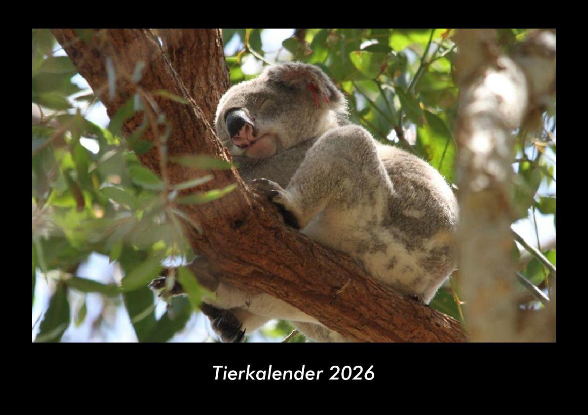 Tierkalender 2026 Fotokalender DIN A3