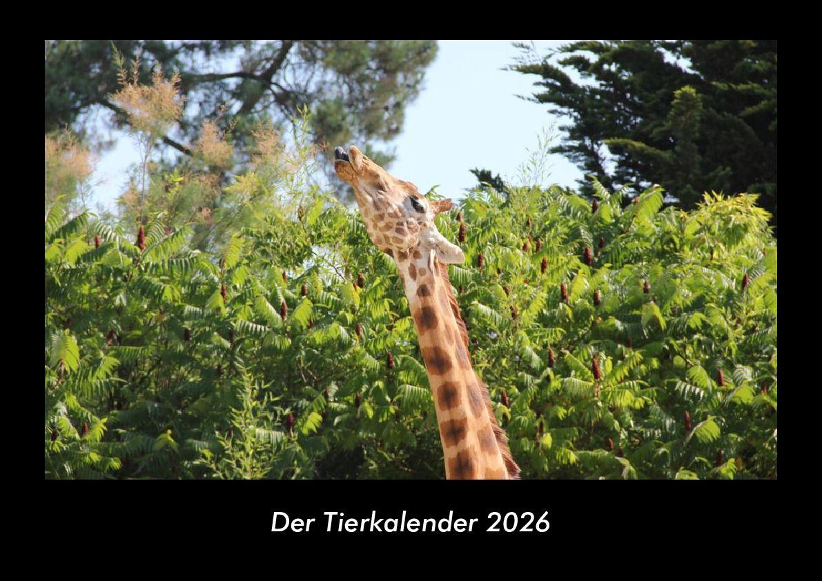 Der Tierkalender 2026 Fotokalender DIN A3