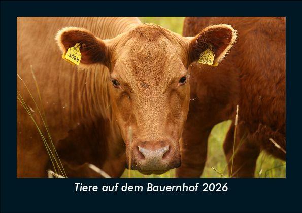 Tiere auf dem Bauernhof 2026 Fotokalender DIN A5