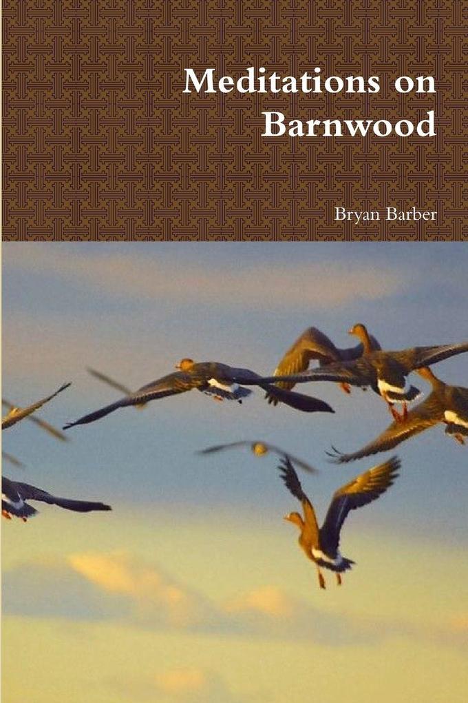 Meditations on Barnwood