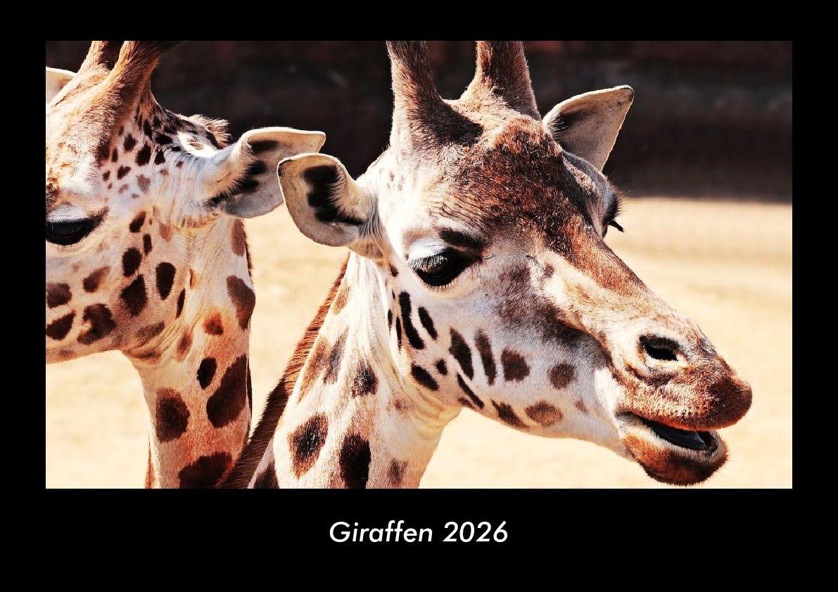 Giraffen 2026 Fotokalender DIN A3