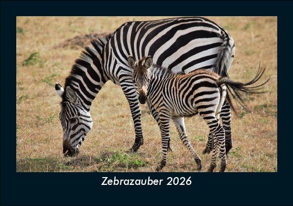 Zebrazauber 2026 Fotokalender DIN A5
