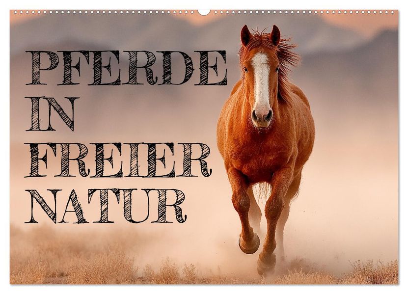 Pferde in freier Natur (Wandkalender 2026 DIN A2 quer) CALVENDO Monatskalender