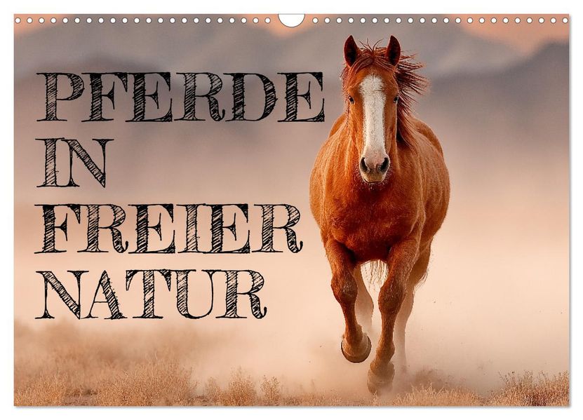 Pferde in freier Natur (Wandkalender 2026 DIN A3 quer) CALVENDO Monatskalender
