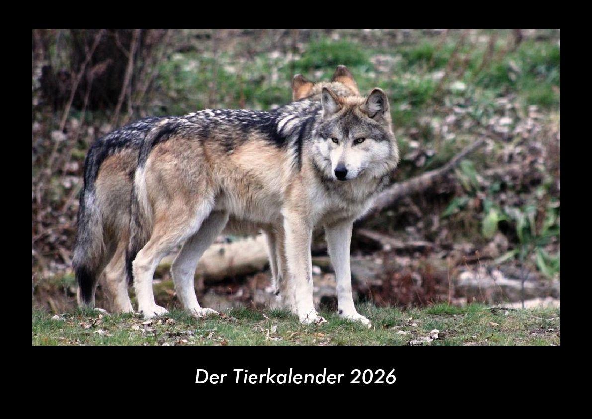 Der Tierkalender 2026 Fotokalender DIN A3