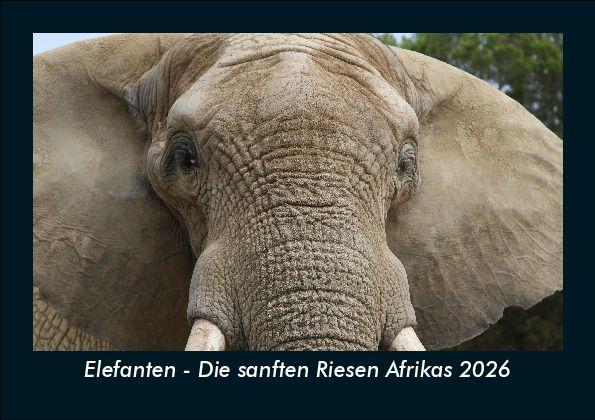 Elefanten - Die sanften Riesen Afrikas 2026 Fotokalender DIN A5
