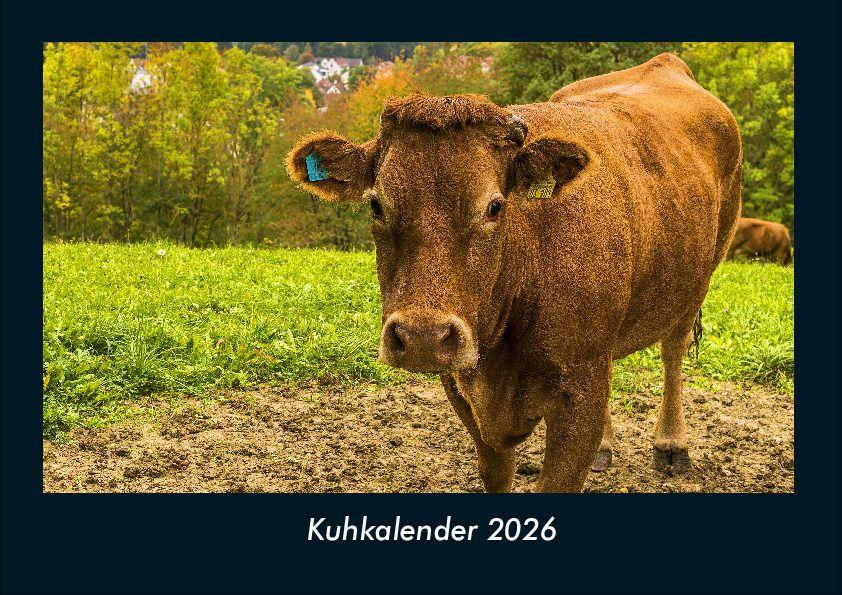 Kuhkalender 2026 Fotokalender DIN A4