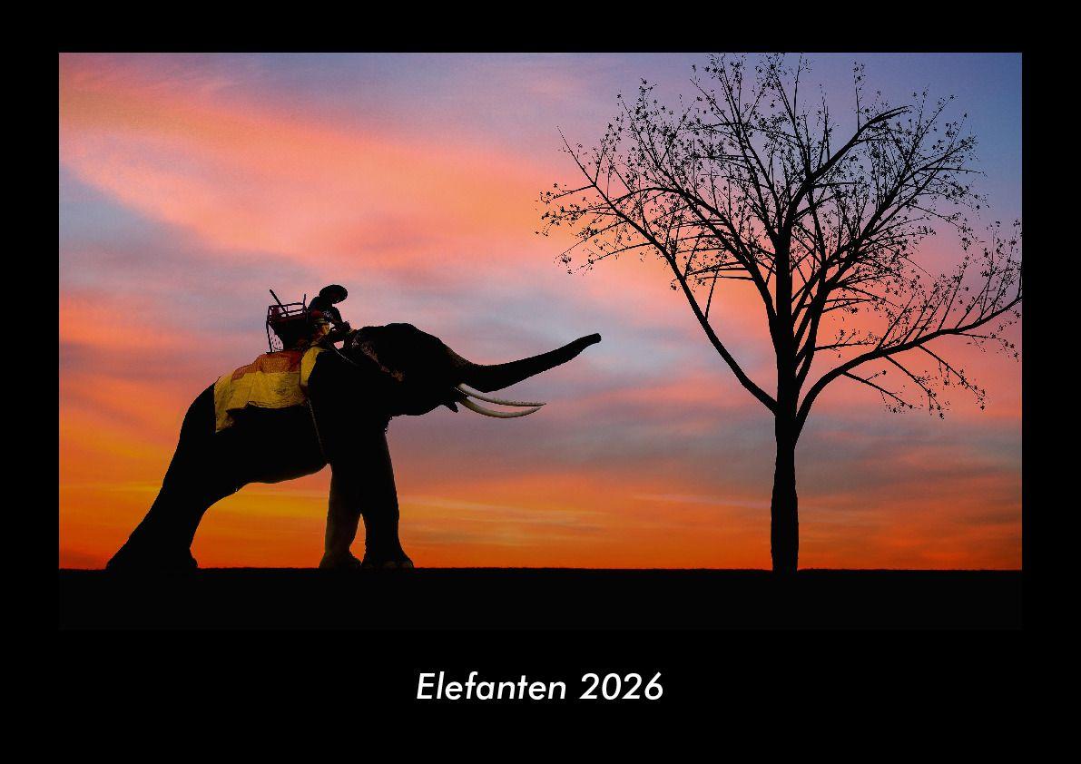 Elefanten 2026 Fotokalender DIN A3