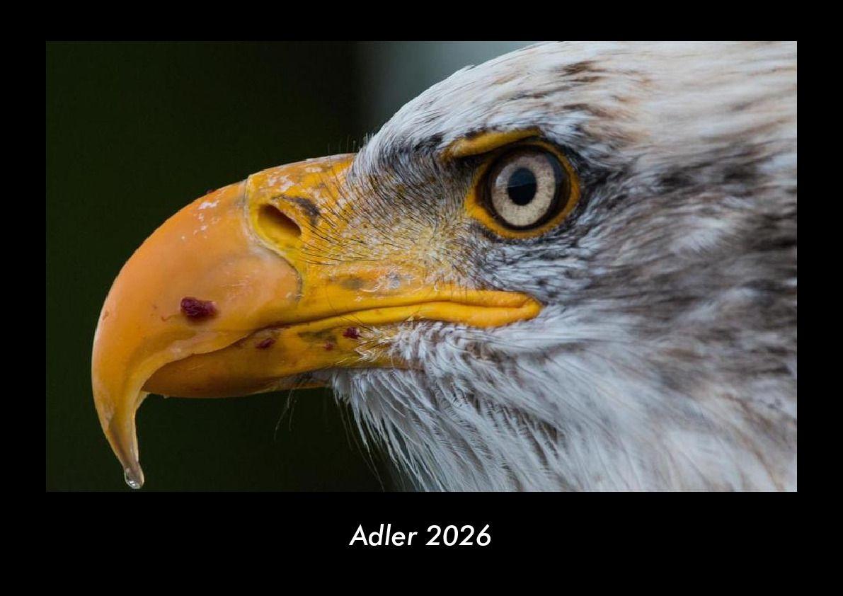 Adler 2026 Fotokalender DIN A3
