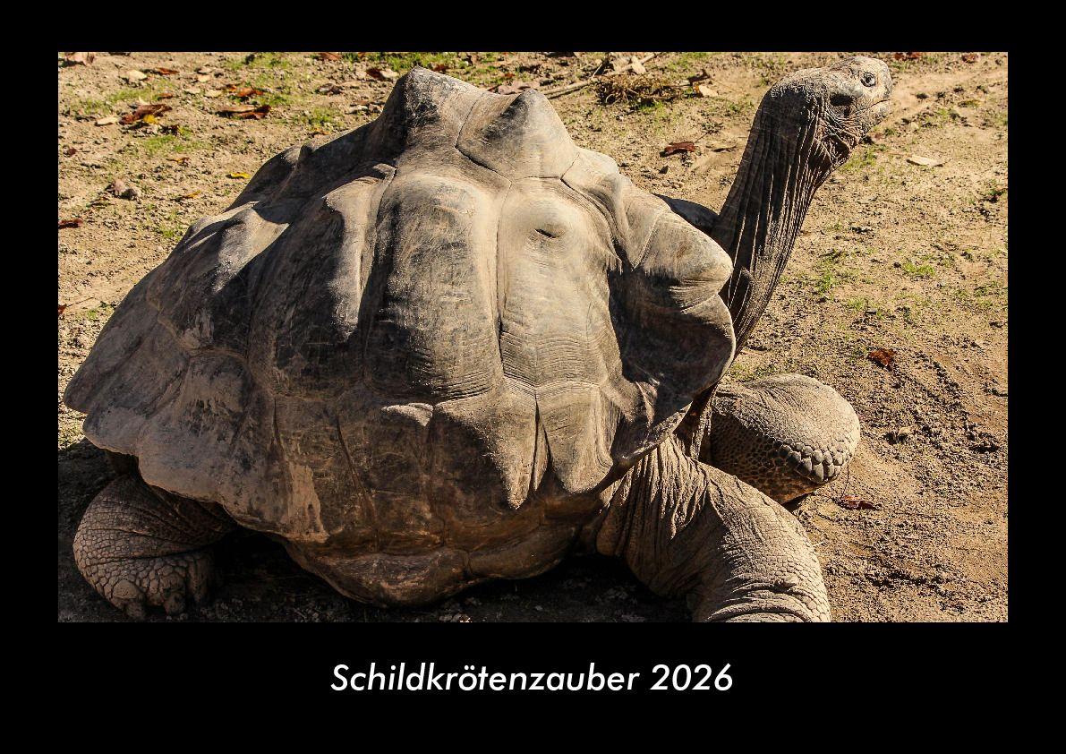 Schildkrötenzauber 2026 Fotokalender DIN A3
