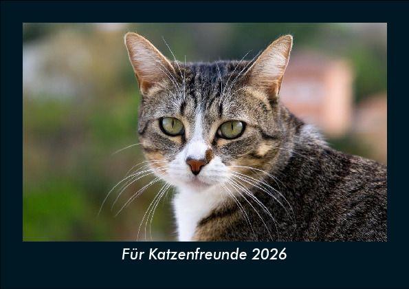 Für Katzenfreunde 2026 Fotokalender DIN A5