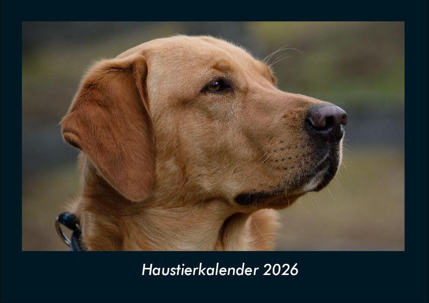 Haustierkalender 2026 Fotokalender DIN A4