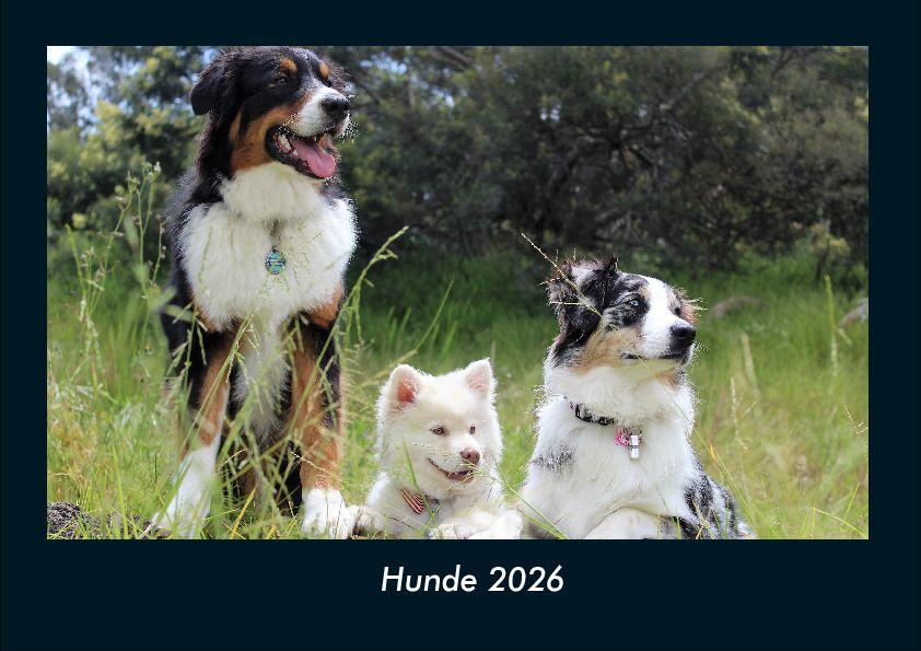 Hunde 2026 Fotokalender DIN A4