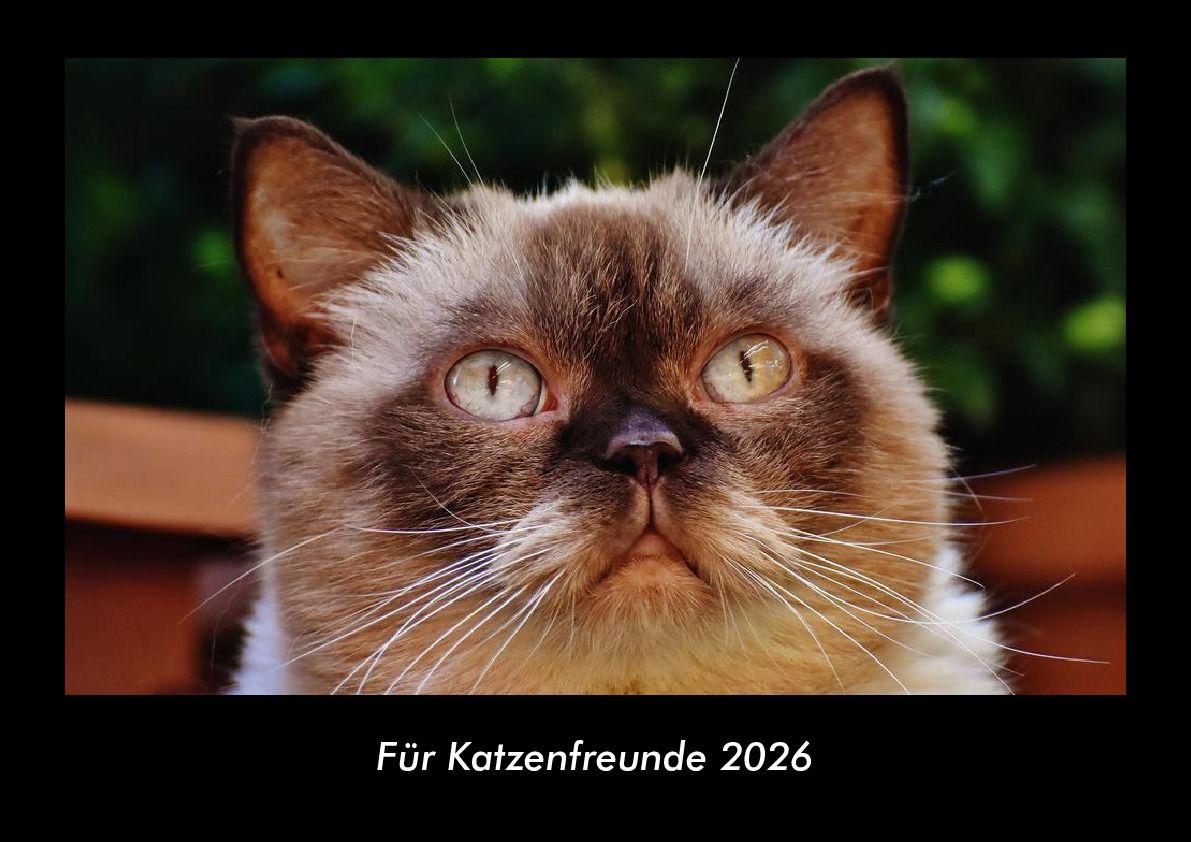 Für Katzenfreunde 2026 Fotokalender DIN A3