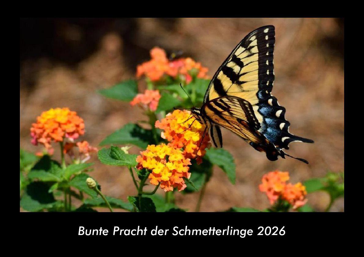 Bunte Pracht der Schmetterlinge 2026 Fotokalender DIN A3