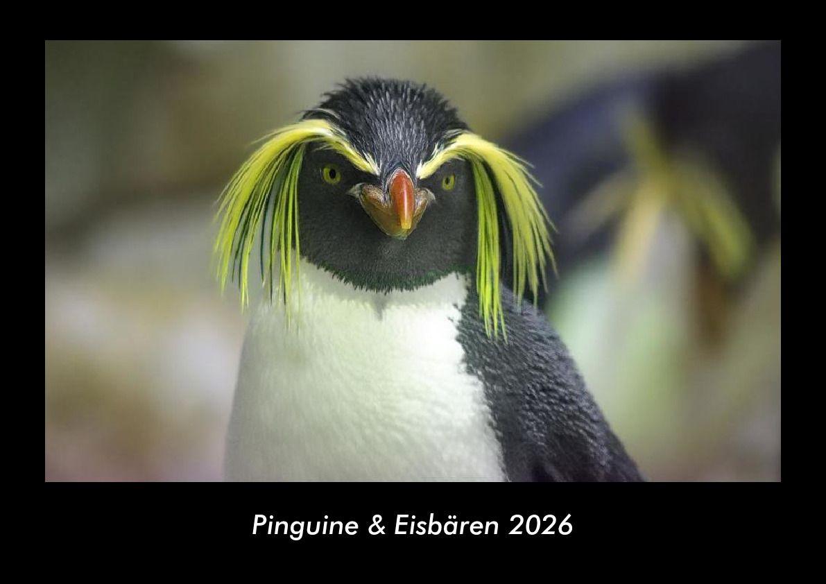 Pinguine & Eisbären 2026 Fotokalender DIN A3