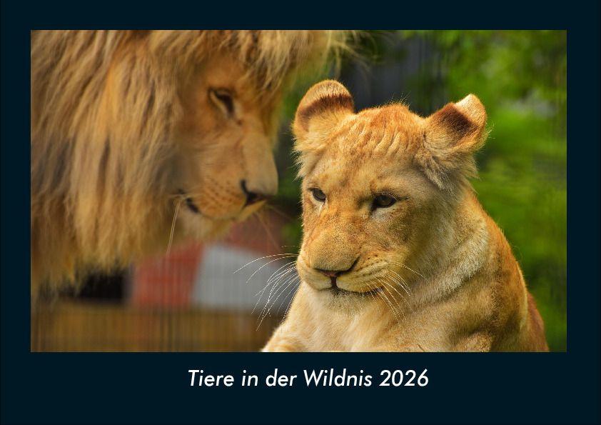 Tiere in der Wildnis 2026 Fotokalender DIN A4