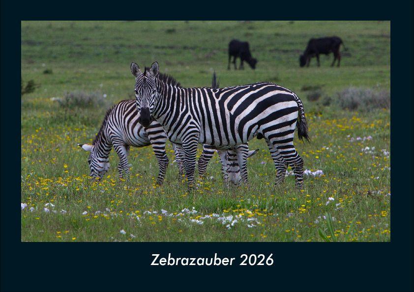 Zebrazauber 2026 Fotokalender DIN A4