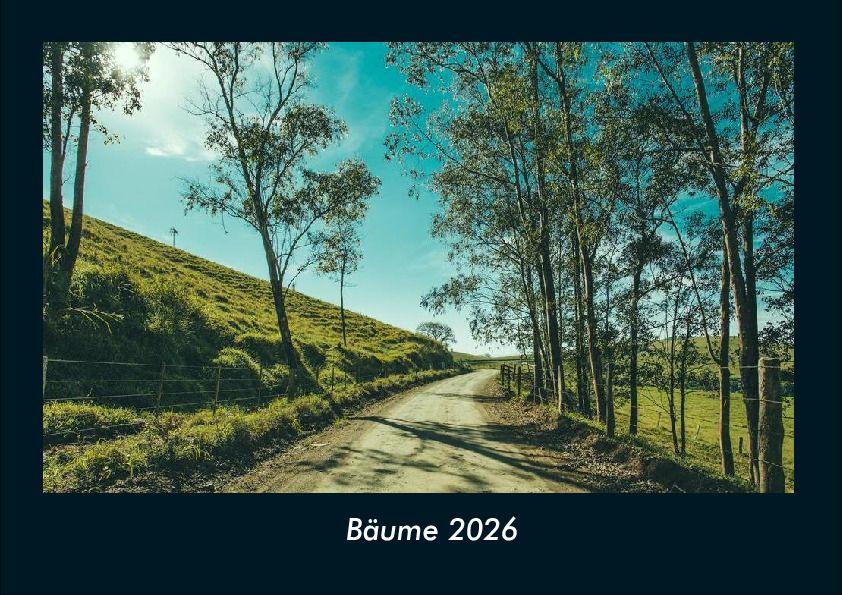 Bäume 2026 Fotokalender DIN A4