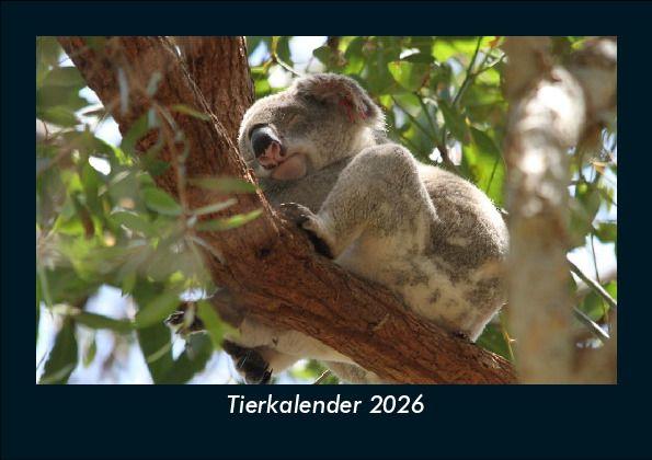 Tierkalender 2026 Fotokalender DIN A5