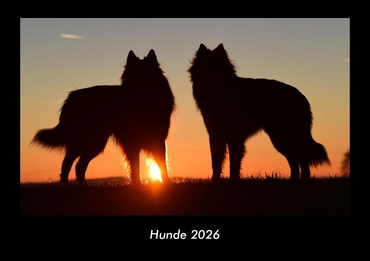 Hunde 2026 Fotokalender DIN A3