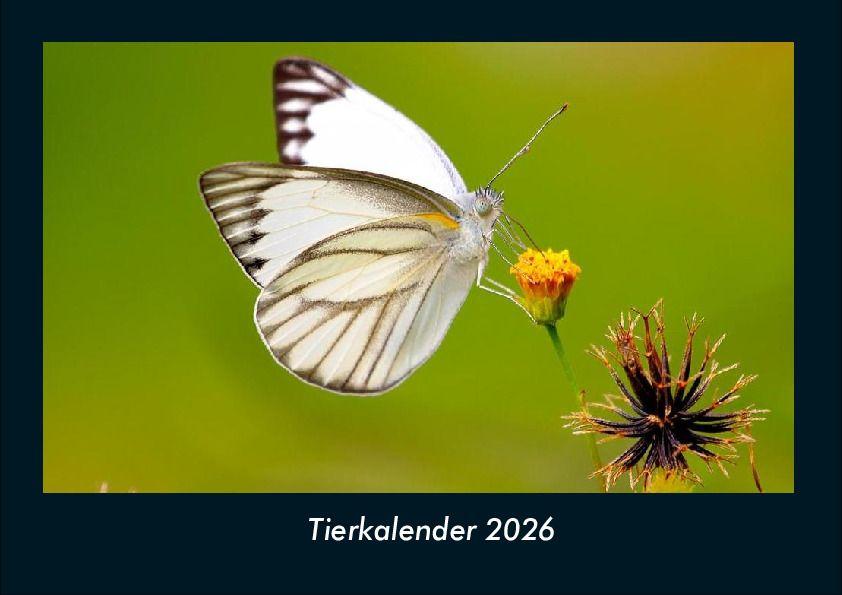 Tierkalender 2026 Fotokalender DIN A4