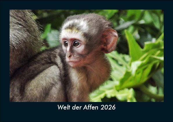 Welt der Affen 2026 Fotokalender DIN A5