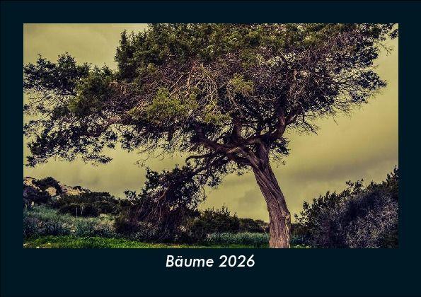 Bäume 2026 Fotokalender DIN A5