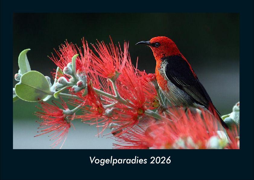 Vogelparadies 2026 Fotokalender DIN A4