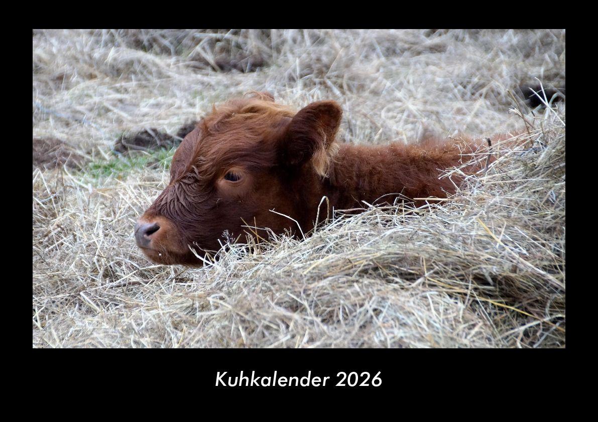 Kuhkalender 2026 Fotokalender DIN A3