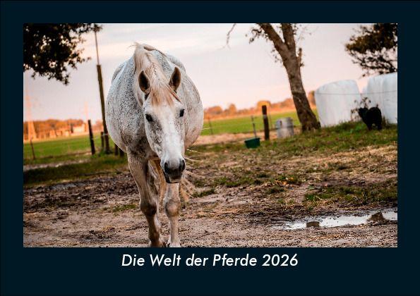Die Welt der Pferde 2026 Fotokalender DIN A5