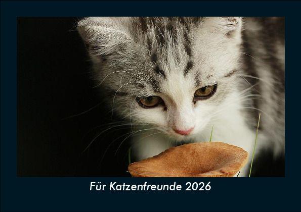 Für Katzenfreunde 2026 Fotokalender DIN A5