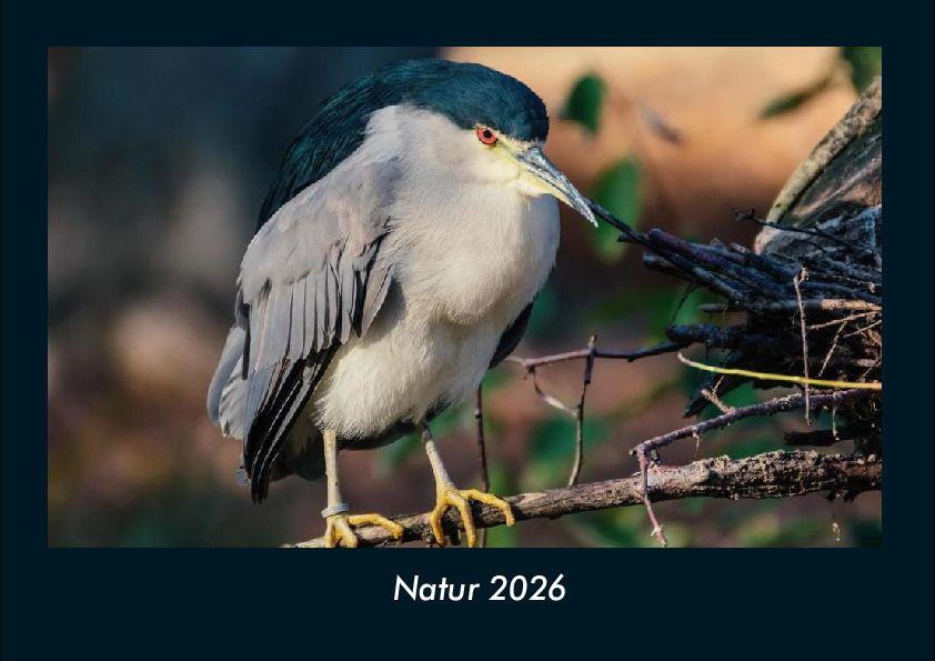 Natur 2026 Fotokalender DIN A4