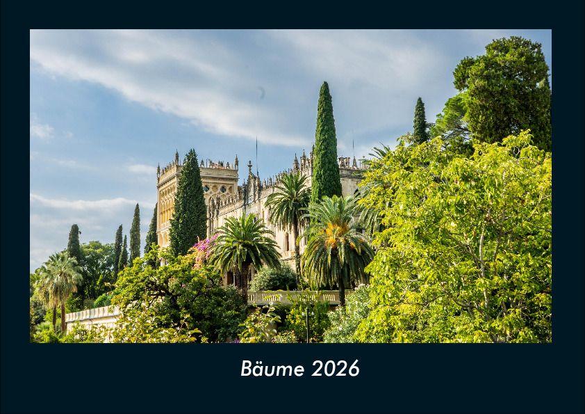 Bäume 2026 Fotokalender DIN A4