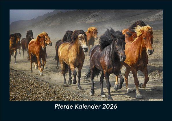 Pferde Kalender 2026 Fotokalender DIN A5