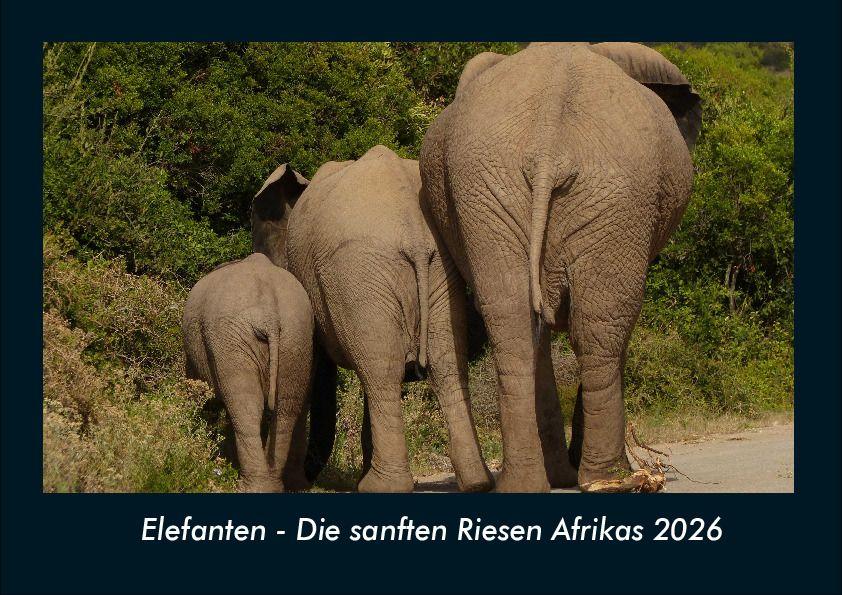 Elefanten - Die sanften Riesen Afrikas 2026 Fotokalender DIN A4