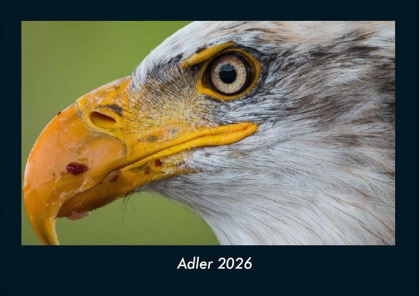 Adler 2026 Fotokalender DIN A4