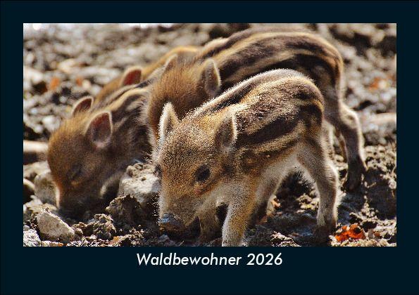 Waldbewohner 2026 Fotokalender DIN A5