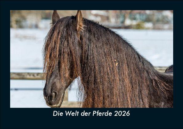 Die Welt der Pferde 2026 Fotokalender DIN A5
