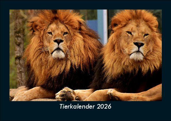 Tierkalender 2026 Fotokalender DIN A5