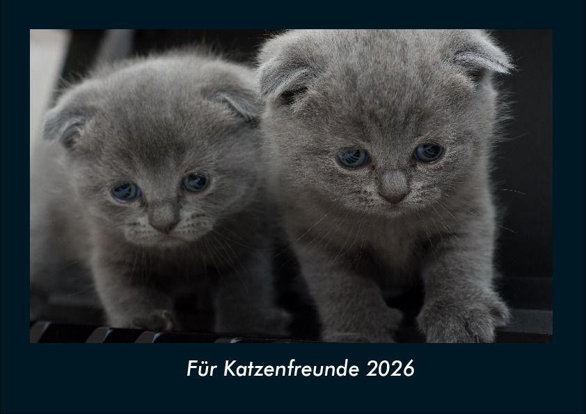 Für Katzenfreunde 2026 Fotokalender DIN A4