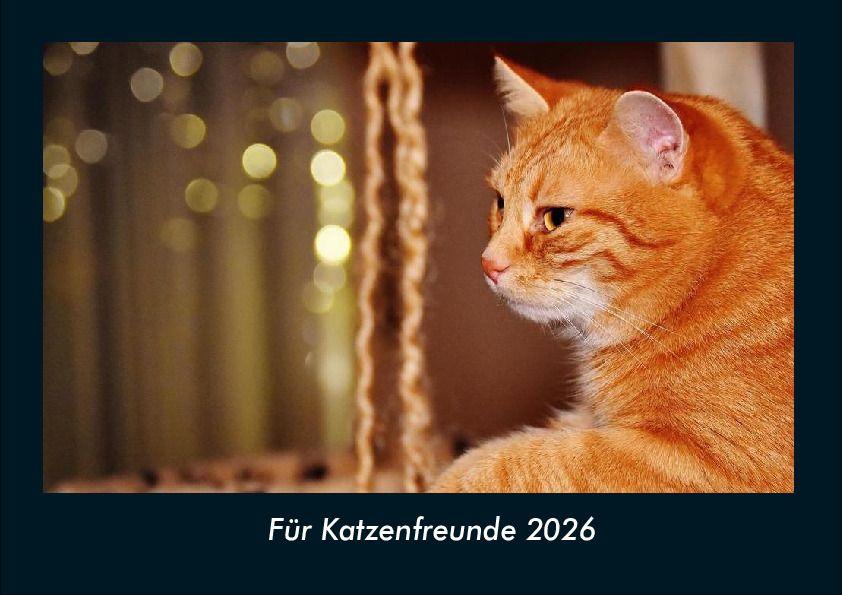 Für Katzenfreunde 2026 Fotokalender DIN A4
