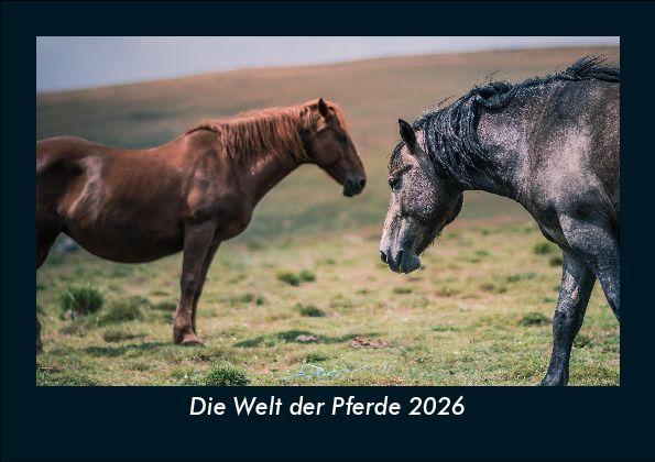 Die Welt der Pferde 2026 Fotokalender DIN A5
