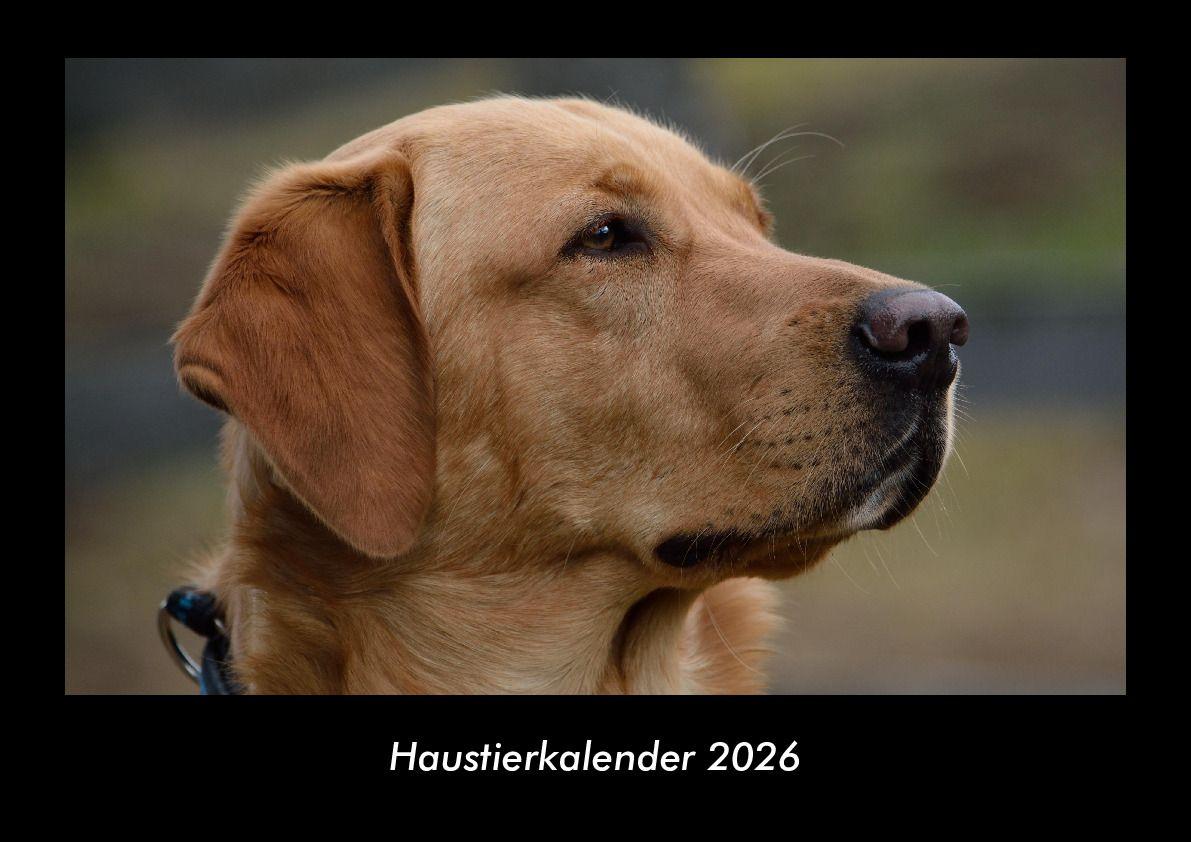 Haustierkalender 2026 Fotokalender DIN A3