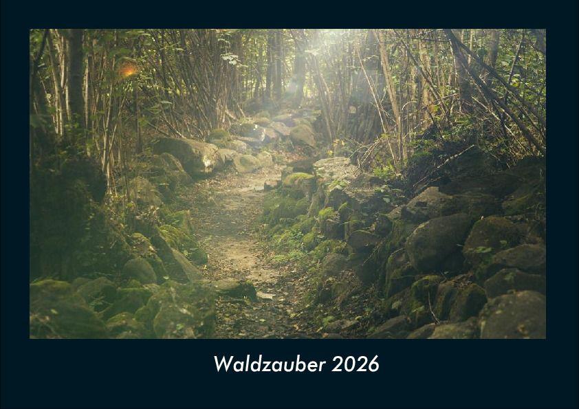 Waldzauber 2026 Fotokalender DIN A4