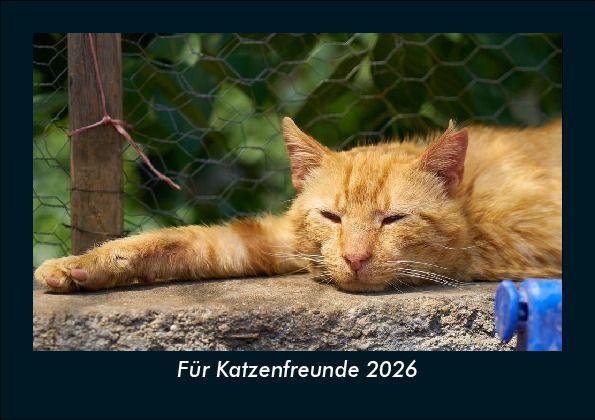 Für Katzenfreunde 2026 Fotokalender DIN A5